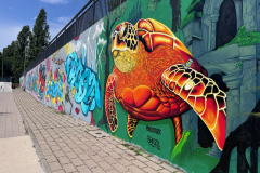 Grafitti Festival "Meeting of Styles"